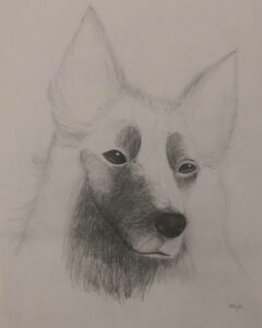 chien