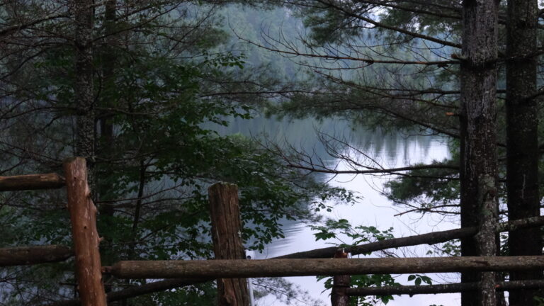 Lire la suite à propos de l’article Adirondacks